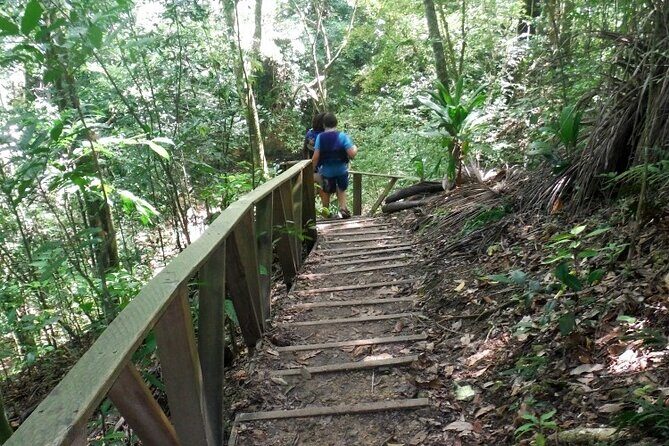 27 Waterfalls of Damajagua – Adventure Tour from Puerto Plata - Timing on the Clock: Start Time and Duration Reality