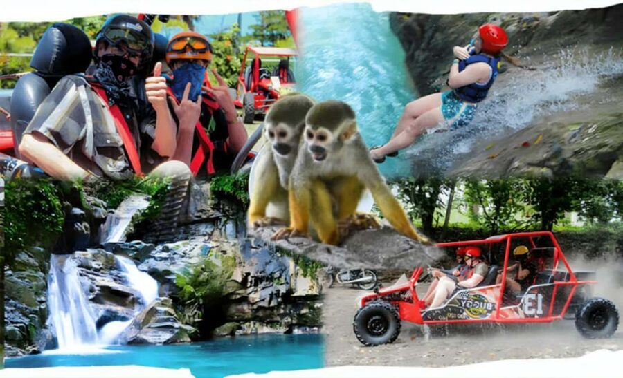 3x1: Monkeyland Damajagua Falls & Buggy Tour Puerto plata - Quick hits before you go