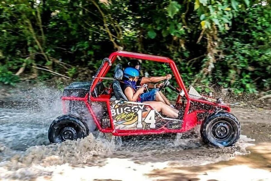 3x1: Monkeyland Damajagua Falls & Buggy Tour Puerto plata - Who should book this tour, and who should skip it