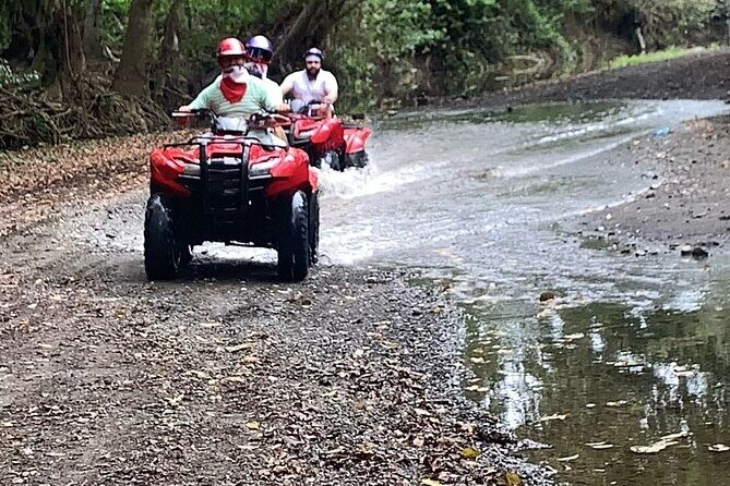 4-Wheel on the road - Your ATV Ride: Getting Close to the Action (and the Dust)