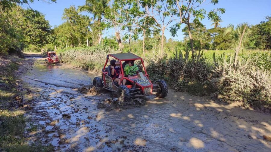 Amber Cove & Taino Bay: Buggy Tour with Swimming & Tasting - Price and Value: $125 per Group Up to 2