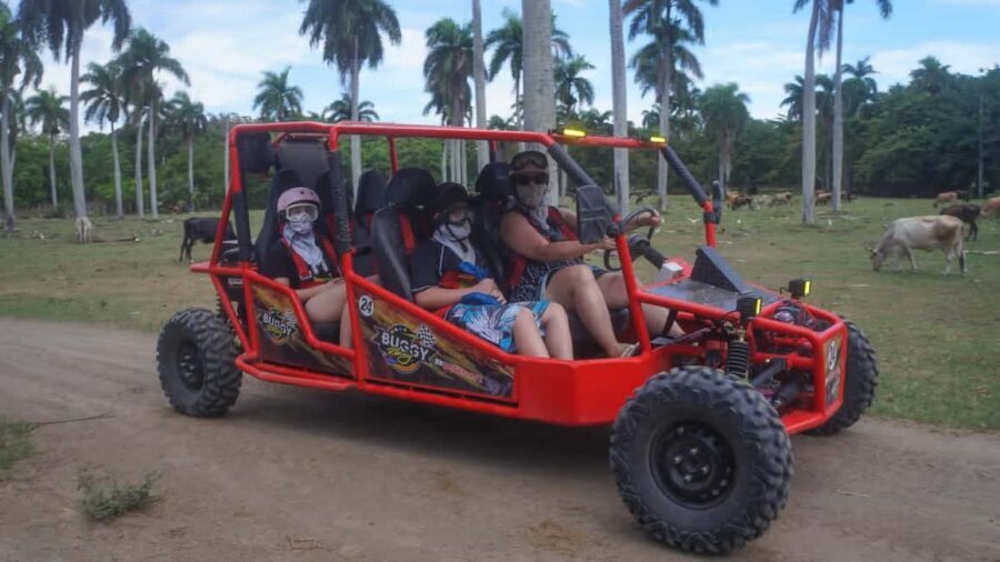 AMBER COVE TAINO BAY Super Buggy Tour - Why this buggy tour is a smart cruise-day plan from Puerto Plata