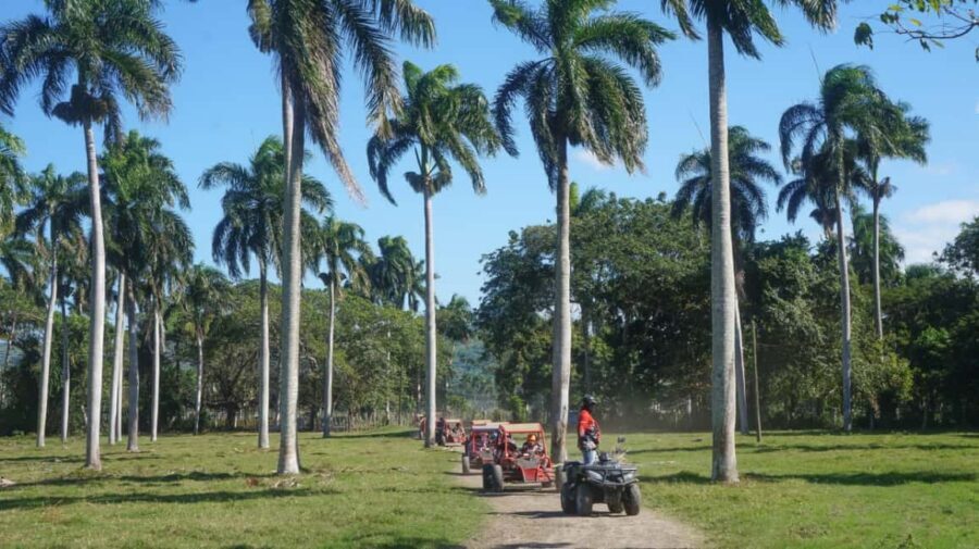 AMBER COVE TAINO BAY Super Buggy Tour - Should you book the Amber Cove Taino Bay Super Buggy Tour?