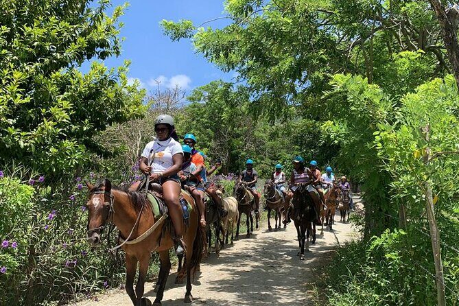 ATV and Horse Riding in Puerto Plata / Shore Excursion & Hotel - ATV Meets Horses: Why This Puerto Plata Shore Excursion Works