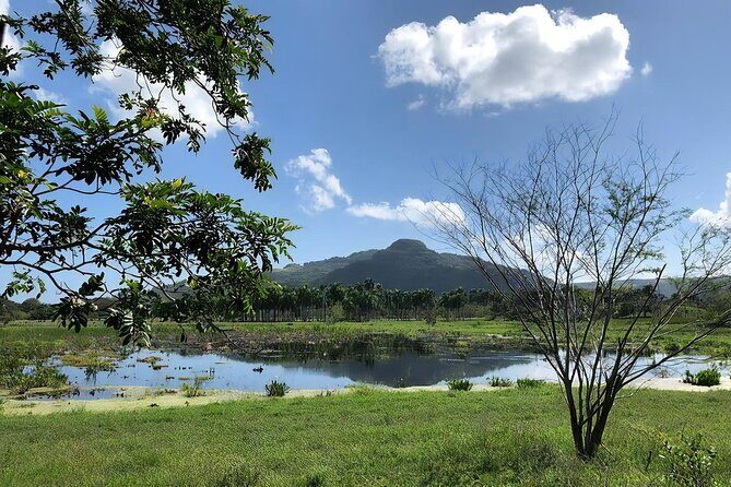 ATV and Horse Riding in Puerto Plata / Shore Excursion & Hotel - Time on the Clock: What the 4.5 Hours Really Means for Your Day
