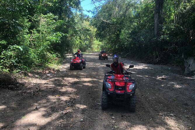 ATV N Zip: 8 Zip Lines plus ATV's - Zip line day: eight runs, no experience needed, and a pool finale