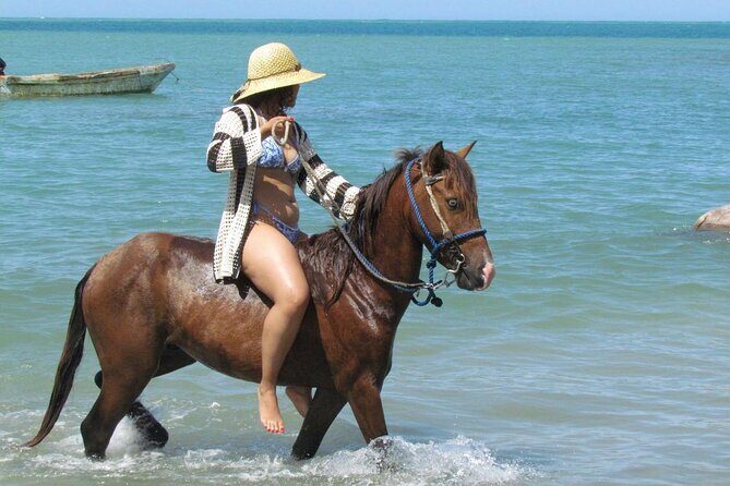 Beach Horseback Ride Tour in Puerto Plata - Scenic & Fun for All - Quick Hits: What Makes This Ride Worth It