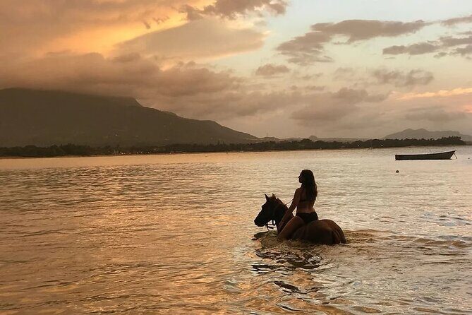 Beach Horseback Ride Tour in Puerto Plata - Scenic & Fun for All - Pickup From Amber Cove/Taino Bay: The Day Starts Easy