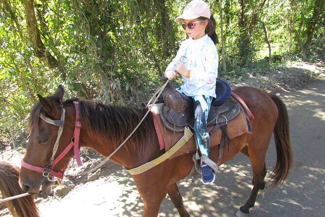 Beach Horseback Ride Tour in Puerto Plata - Scenic & Fun for All - Countryside to Coast: The Part Where the Scenery Actually Changes
