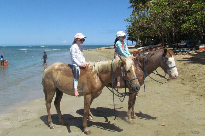 Beach Horseback Ride Tour in Puerto Plata - Scenic & Fun for All - Beach Bar Break: Drinks, Souvenirs, and a Slower Pace