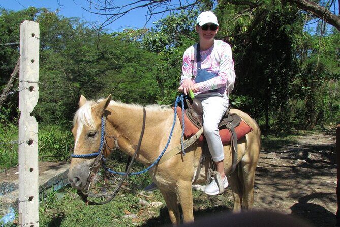 Beach Horseback Ride Tour in Puerto Plata - Scenic & Fun for All - Horses, Safety, and the Real-Life “Beginner Friendly” Test