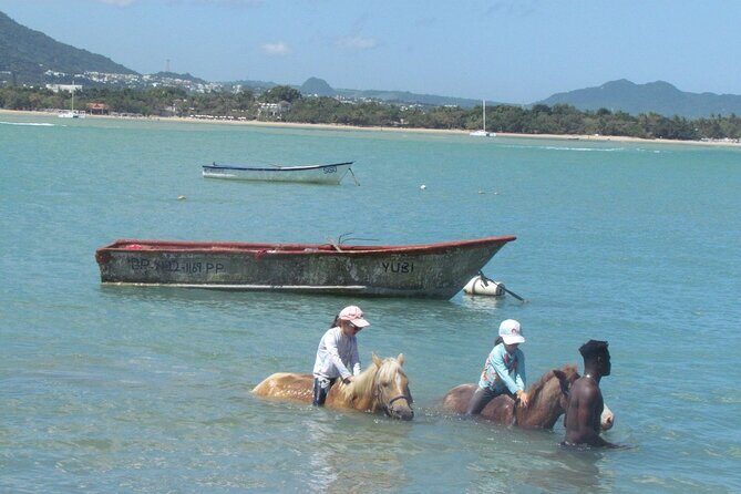 Beach Horseback Ride Tour in Puerto Plata - Scenic & Fun for All - Price and Value: Is $70 a Good Deal Here?