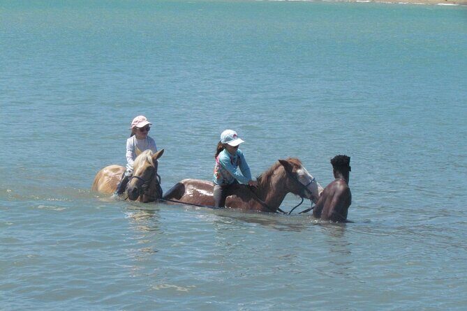 Beach Horseback Ride Tour in Puerto Plata - Scenic & Fun for All - Practical Tips for Cruise Day Timing and Port Navigation