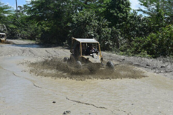 Buggy Excursion in Puerto Plata - What You Actually Get for $85: Value That Adds Up