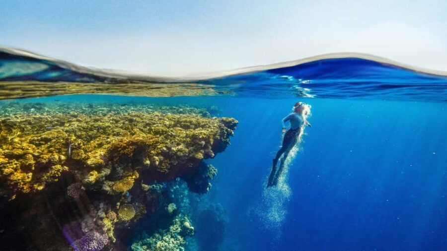 Catalina Island, even more pristine than Saona - Catalina Island in one day: turquoise water, white sand, and a reef you’ll remember