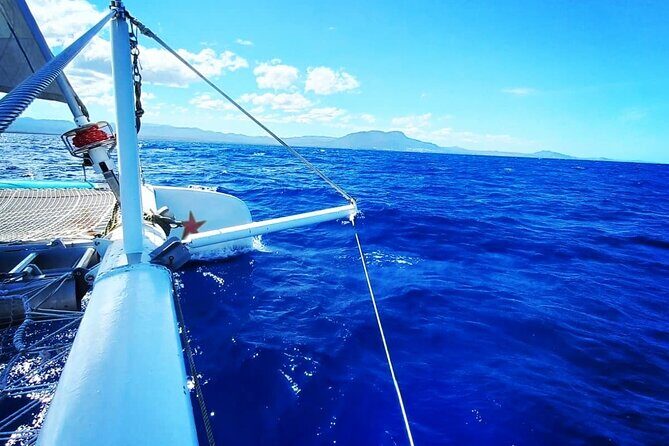 Catamaran Day Trip, Snorkeling & Sailing Excursion - Value Check: Is $84 Worth It?
