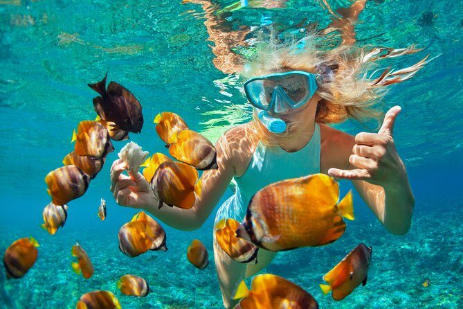 Catamaran Snorkeling All-Inclusive Day-Trip - Key things I’d bank on before you go
