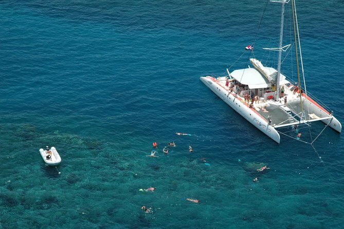 Catamaran Snorkeling All-Inclusive Day-Trip - Price and logistics: what you’re really paying for at $84
