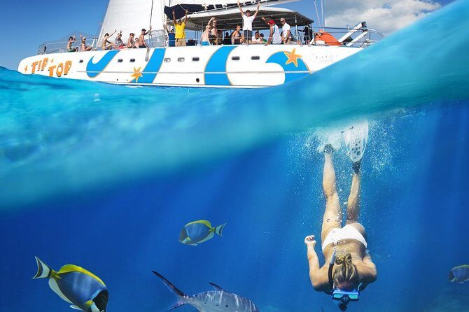 Catamaran Snorkeling All-Inclusive Day-Trip - First snorkeling stop in Sosua Bay: calm water and a gentle start