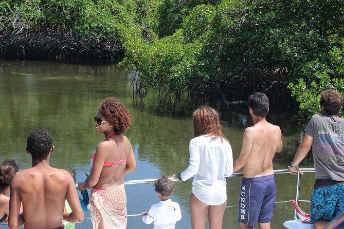 Cayo Arena Catamaran Cruise from Puerto Plata with Lunch - Snorkeling at the Coral Reef: Guided and Gear-Provided