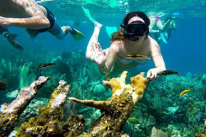 Cayo Arena Day Trip from Puerto Plata - Snorkeling and Swimming: How to Get the Most From the Water Time