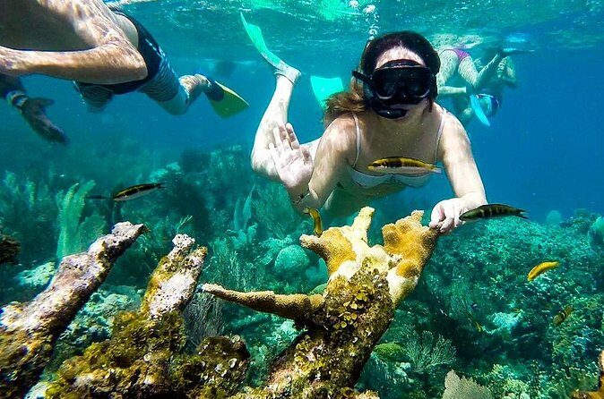 Cayo Arena Day Trip from Puerto Plata - The Guide and Group Size: Why Organization Affects Your Fun
