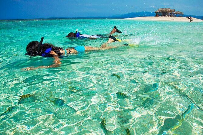 Cayo Arena Exclusive Tour with Lunch - Price and Value: Is $160 a Good Deal?
