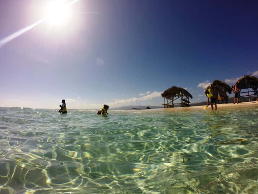 Cayo Arena: Paradise Island and Mangroves Tour - Snorkeling Coral Gardens: Where the Color Lives