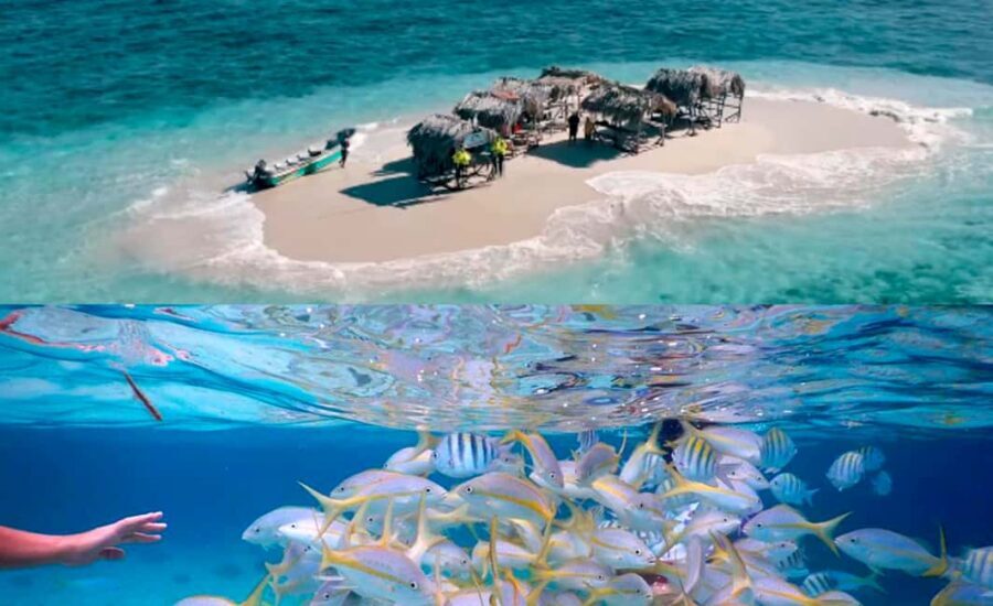 Cayo Arena: Paradise Island and Mangroves Tour - Food and Drinks: The Included Lunch Reality Check