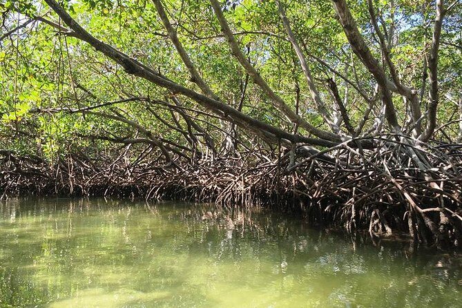 Cayo Arena, Paradise Island Tour - Price and Value: Is $89 Worth It?