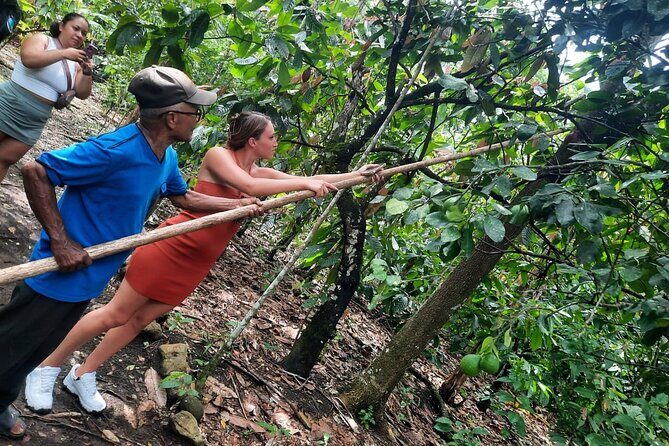 Cocoa & Artisan Chocolate Route with an Historical Tour in Puerto Plata City - Key points before you go