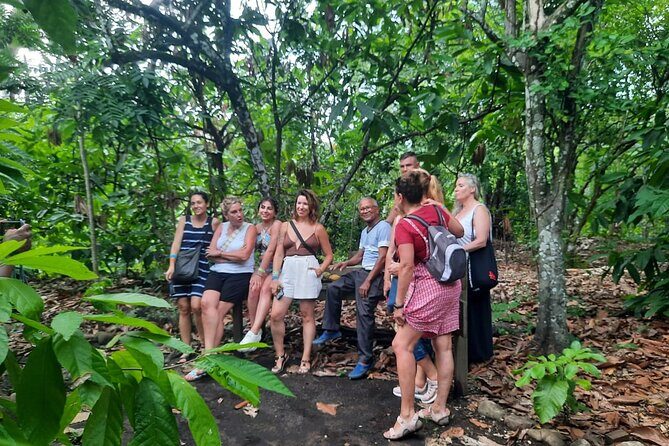 Cocoa & Artisan Chocolate Route with an Historical Tour in Puerto Plata City - Hacienda Cufa: the cacao experience and the chocolate facial