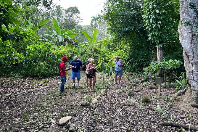 Cocoa & Artisan Chocolate Route with an Historical Tour in Puerto Plata City - Dominican lunch and comfort details that matter