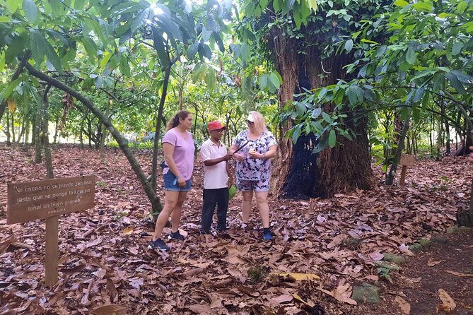 Cocoa & Artisan Chocolate Route with an Historical Tour in Puerto Plata City - Who should book this cacao + history combo