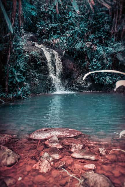Exclusive Puerto Plata Waterfalls for groups up to 6 People - Guides, language, and the small-group advantage (and occasional glitch)