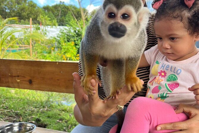 Family ATV Tour & Monkey Private Van - Lunch and Drinks: Authentic Dominican Food After Dusty Miles