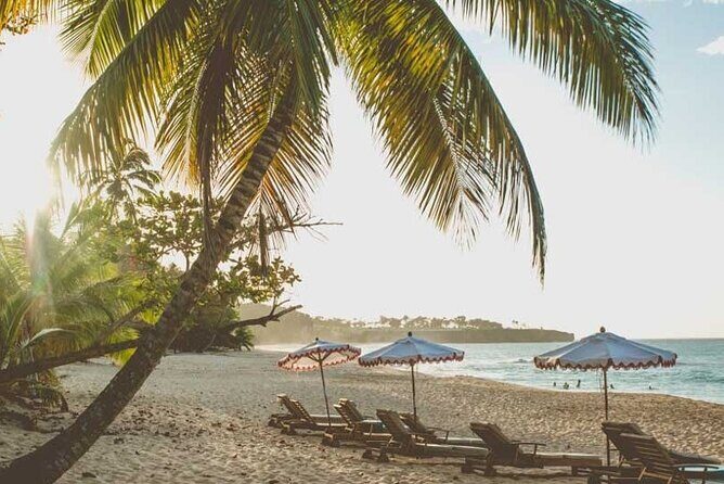 Full-Day Blue Lagoon Tour in Dominican Republic - Price and value: is $85 a good deal?
