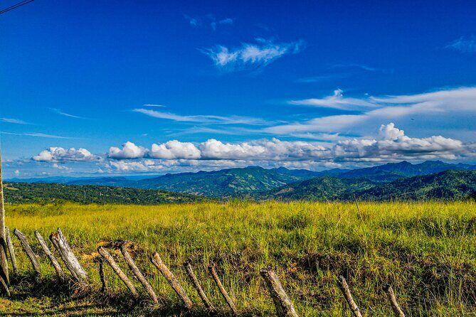 GreekLand The Santorini at Puerto Plata plus City Tour - Amber Museum: A focused stop that’s easy to enjoy