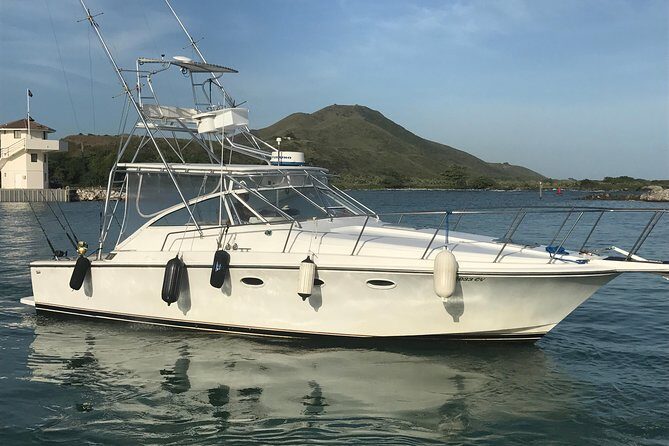 Half Day Big Game Fishing private charter - Your charter boat: 34-foot Trojan and twin 400HP muscle