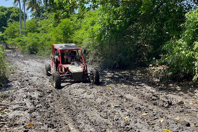 Half-Day Buggy Guided Adventure for Amber Cove and Taino Bay - The cigar-and-cocoa stop: local culture in a short window