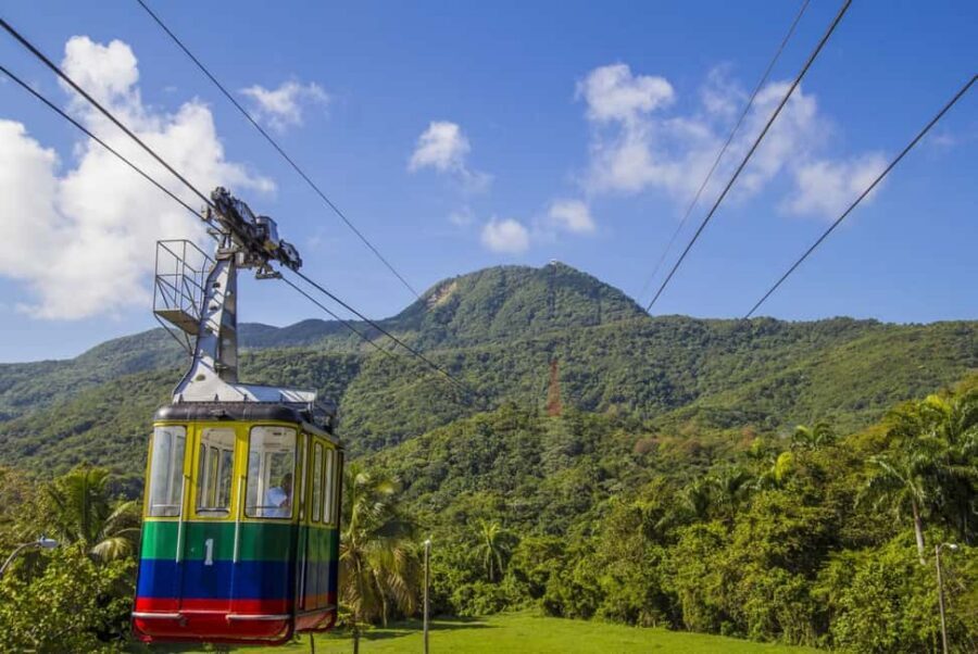 Half Day Cultura Tour of the City of Special for Cruise Ship - Key things to know before you go