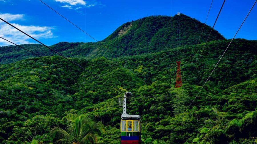 Half Day Cultura Tour of the City of Special for Cruise Ship - Who should book this tour (and who should skip it)
