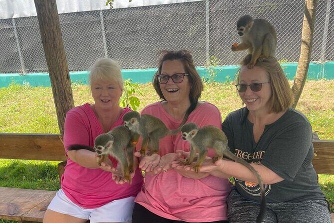 Half Day Puerto Plata City Tour and Monkey Home Visit - Key things about this Monkey Home plus city tour