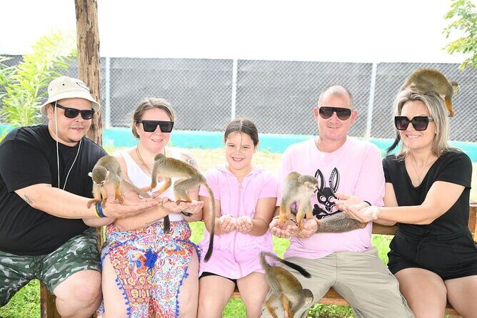 Half Day Puerto Plata City Tour and Monkey Home Visit - Del Oro Chocolate Factory: what the stop gives you in 30 minutes
