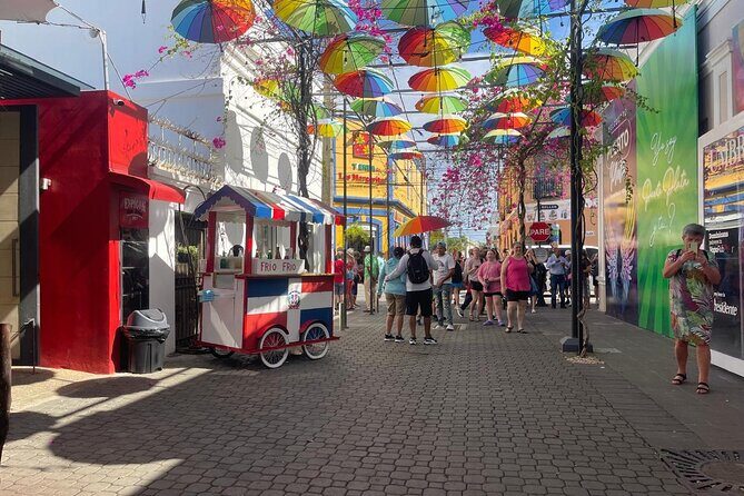 Half Day Puerto Plata City Tour and Monkey Home Visit - Guides, A/C vans, and cruise timing: where value is really decided