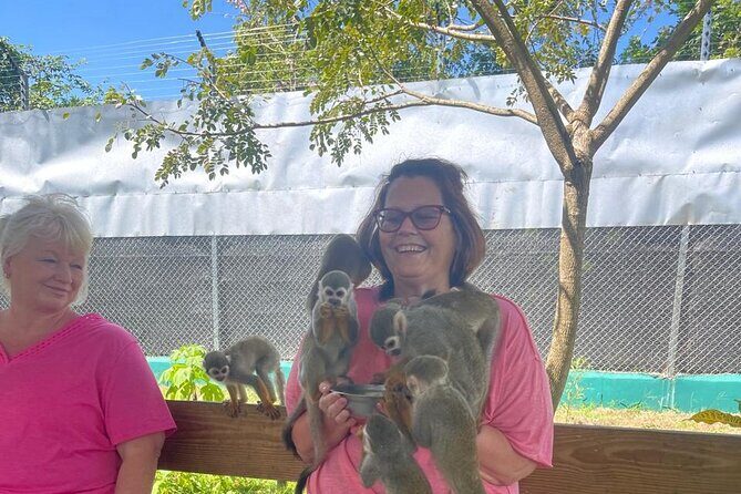 Half Day Puerto Plata City Tour and Monkey Home Visit - Who this tour fits best (and who might want a different option)