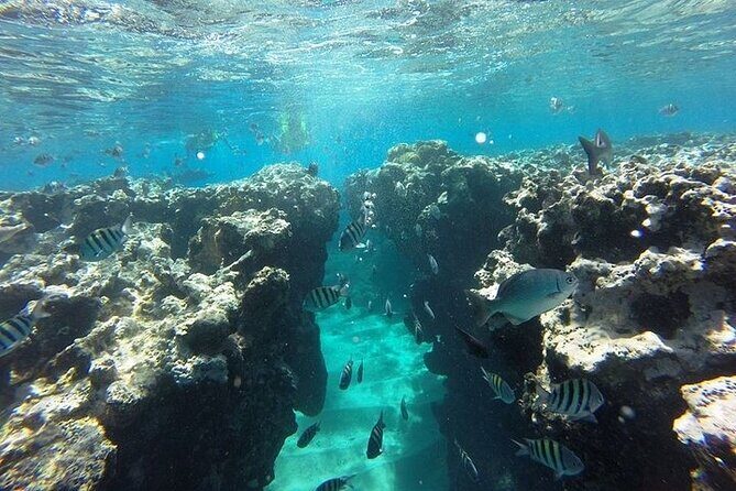 Half Day Sosua Sunset Cruise with Snorkeling - Open Bar, BBQ Lunch, and the Music System on Board