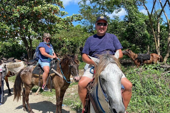 Horseback riding tours from amber cove & Taino bay port silver - The 3-Hour Flow: Fields, Beach Swim, and Plantation Stops
