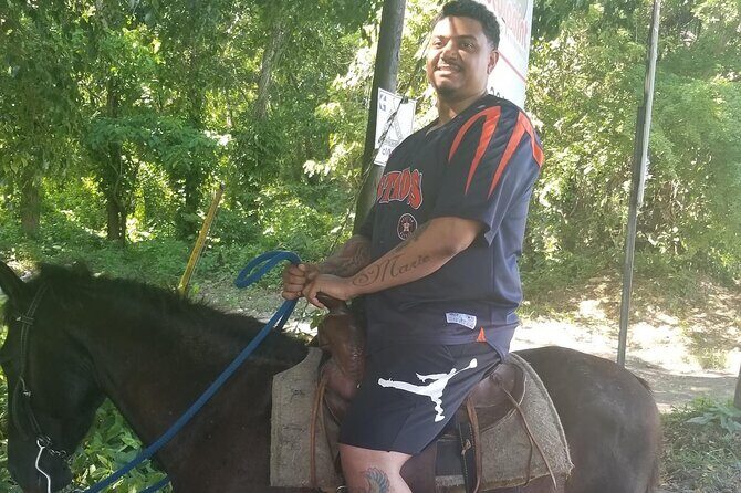 Horseback riding tours from amber cove & Taino bay port silver - Stop in Puerto Plata Province: Beach Swim and Plantation Touring