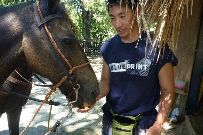 Horseback riding tours from amber cove & Taino bay port silver - What to Bring: Simple Setup for a Horse + Beach Day